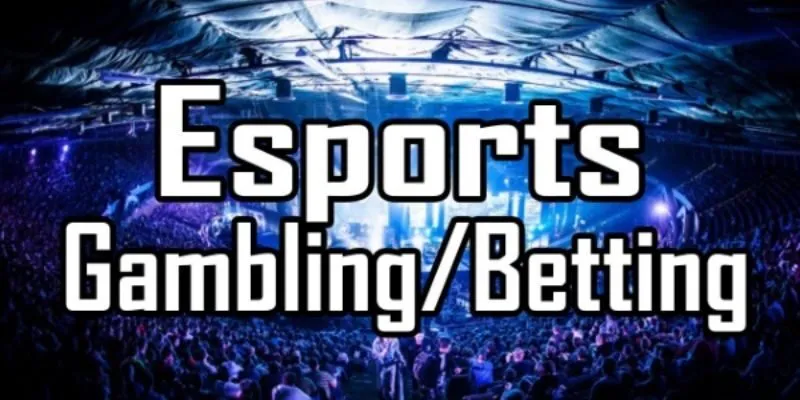 Thuật ngữ thể thao trực tuyến cá cược Winbet